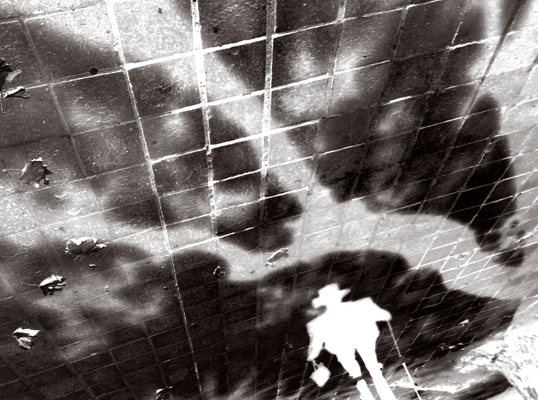 shadow people 2